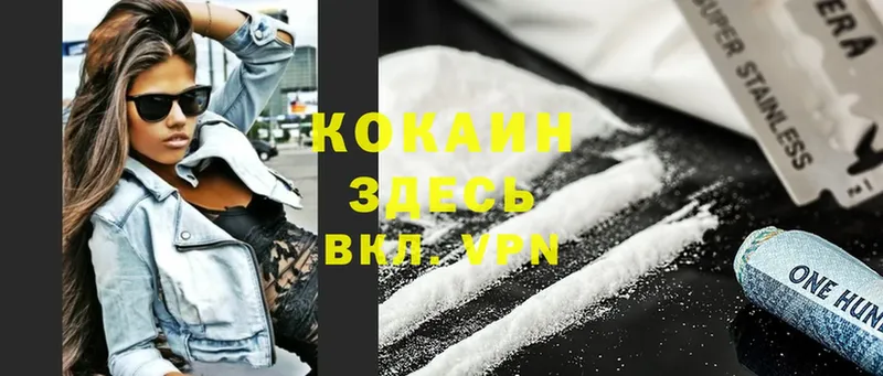 КОКАИН Fish Scale  Верхняя Пышма 