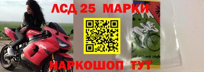 ГАЛЛЮЦИНОГЕННЫЕ ГРИБЫ Балашиха