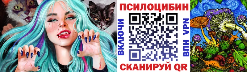 Галлюциногенные грибы Psilocybine cubensis Верхняя Пышма