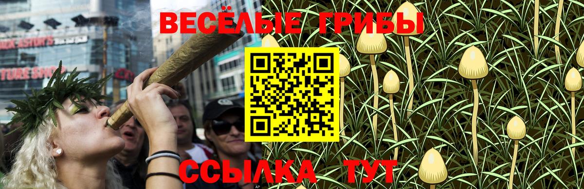 Галлюциногенные грибы MAGIC MUSHROOMS Верхняя Пышма