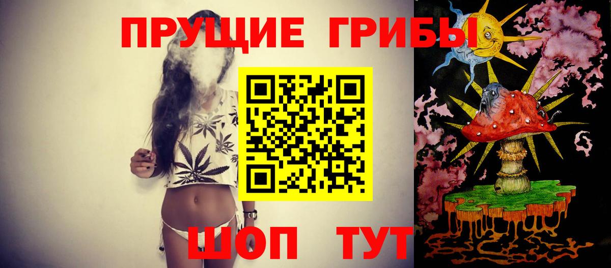 Псилоцибиновые грибы MAGIC MUSHROOMS  Псилоцибиновые грибы Psilocybine cubensis  хочу   Вход с VPN  Верхняя Пышма 