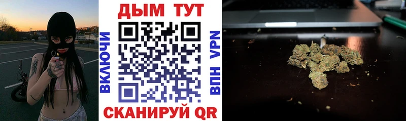 где можно купить Верхняя Пышма Канабис OG Kush
